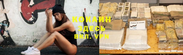 spice Алзамай