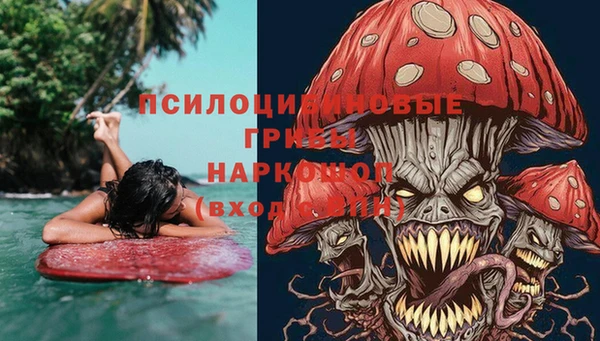 spice Алзамай