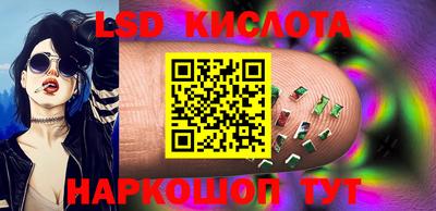 гидра Можга