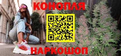 гидра Можга