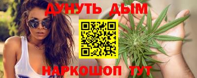 гидра Можга