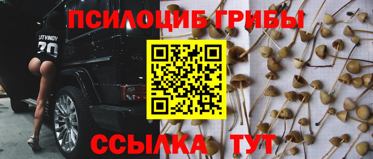 Псилоцибиновые грибы мухоморы Урай