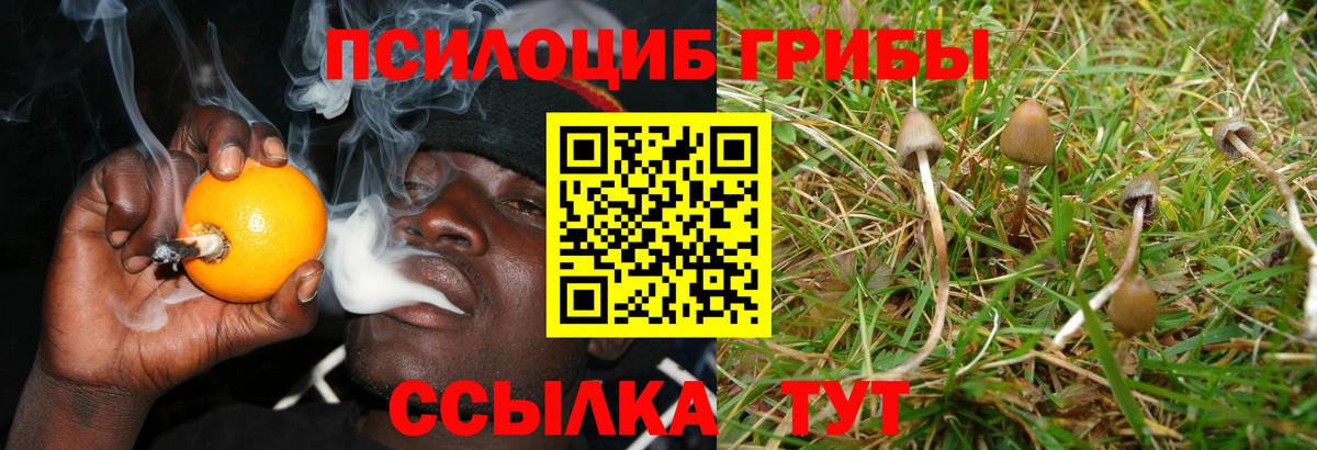 Псилоцибиновые грибы прущие грибы  Вход с VPN  Урай 